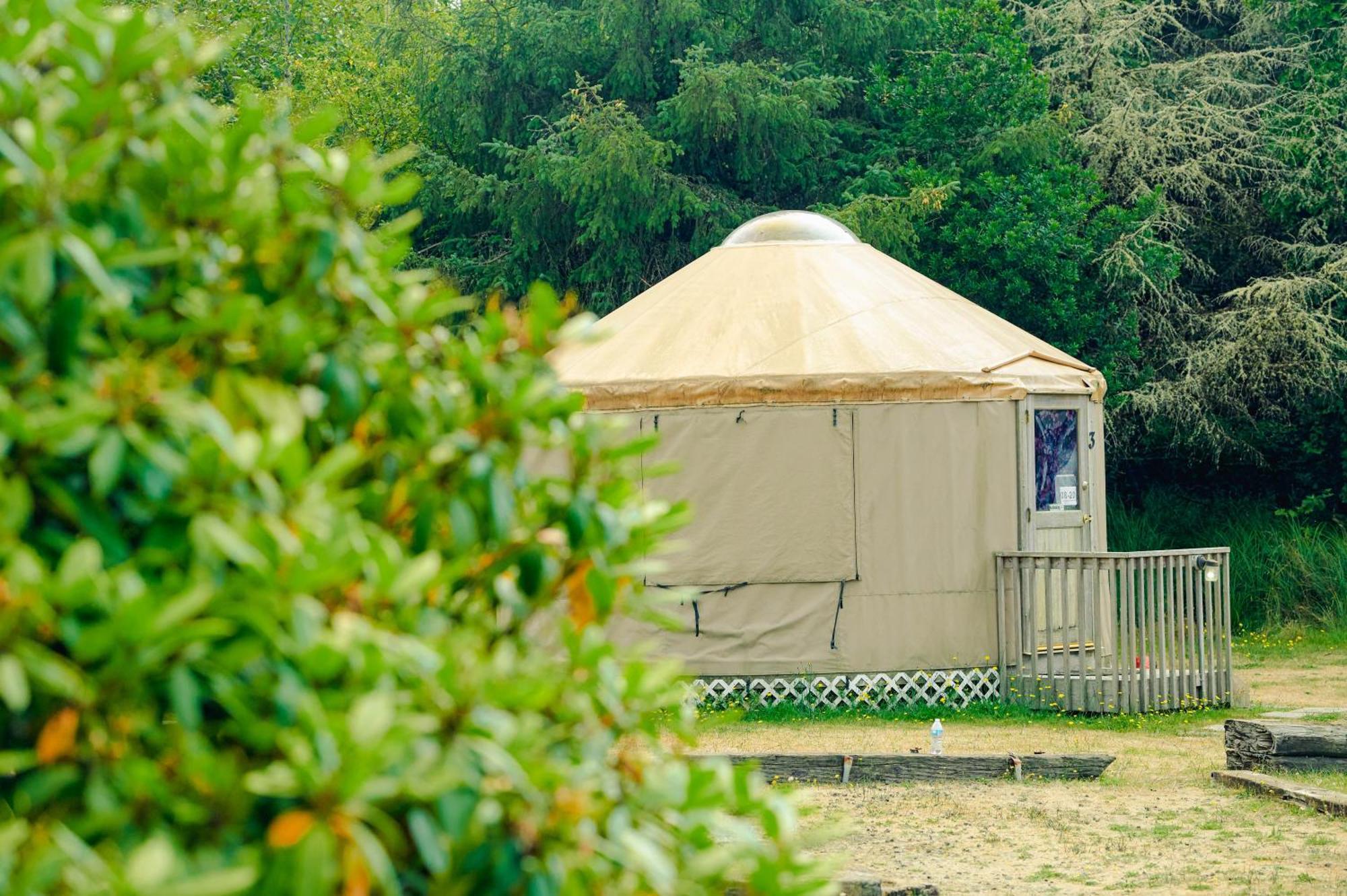 Long Beach Camping Resort Yurt 8 Oceanview Rum bild